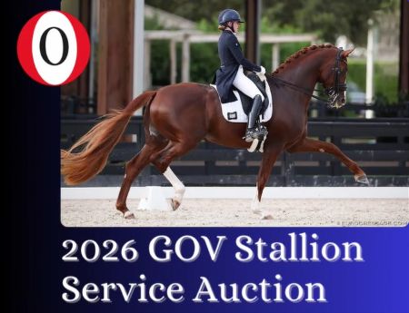 Bild Stallion Service Auction 2026neu4