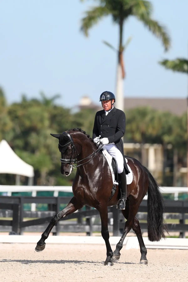 Dantes Peak Web gross