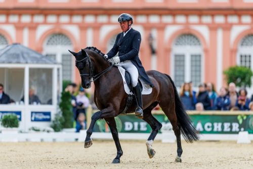 KLIMKE Michael GER Harmonys Fado SL 1278 005 1542