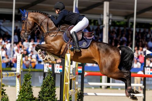 STAIS Alexa CYP Diachango Blue PS SL 1200 005 1415